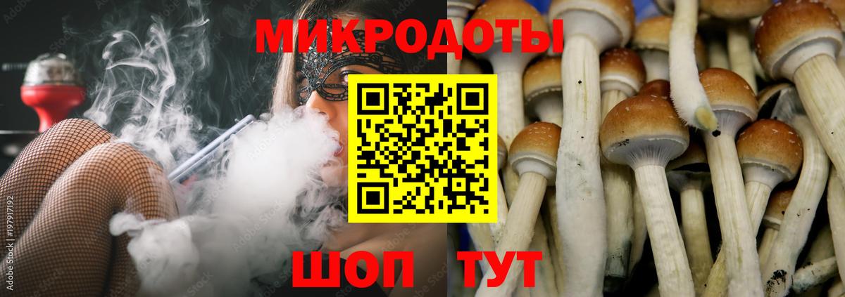 Галлюциногенные грибы мицелий  Вход с VPN  Саранск 